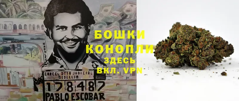 Каннабис White Widow  где найти   Абдулино 